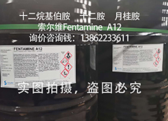 十二烷基伯胺/十二胺/月桂胺/A12