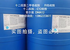 十二烷基二甲基叔胺/十二叔胺/月桂叔胺/DMA12/C12叔胺